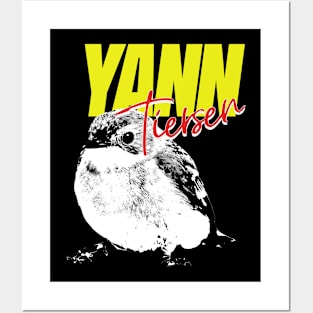 Yann Tiersen pop Posters and Art